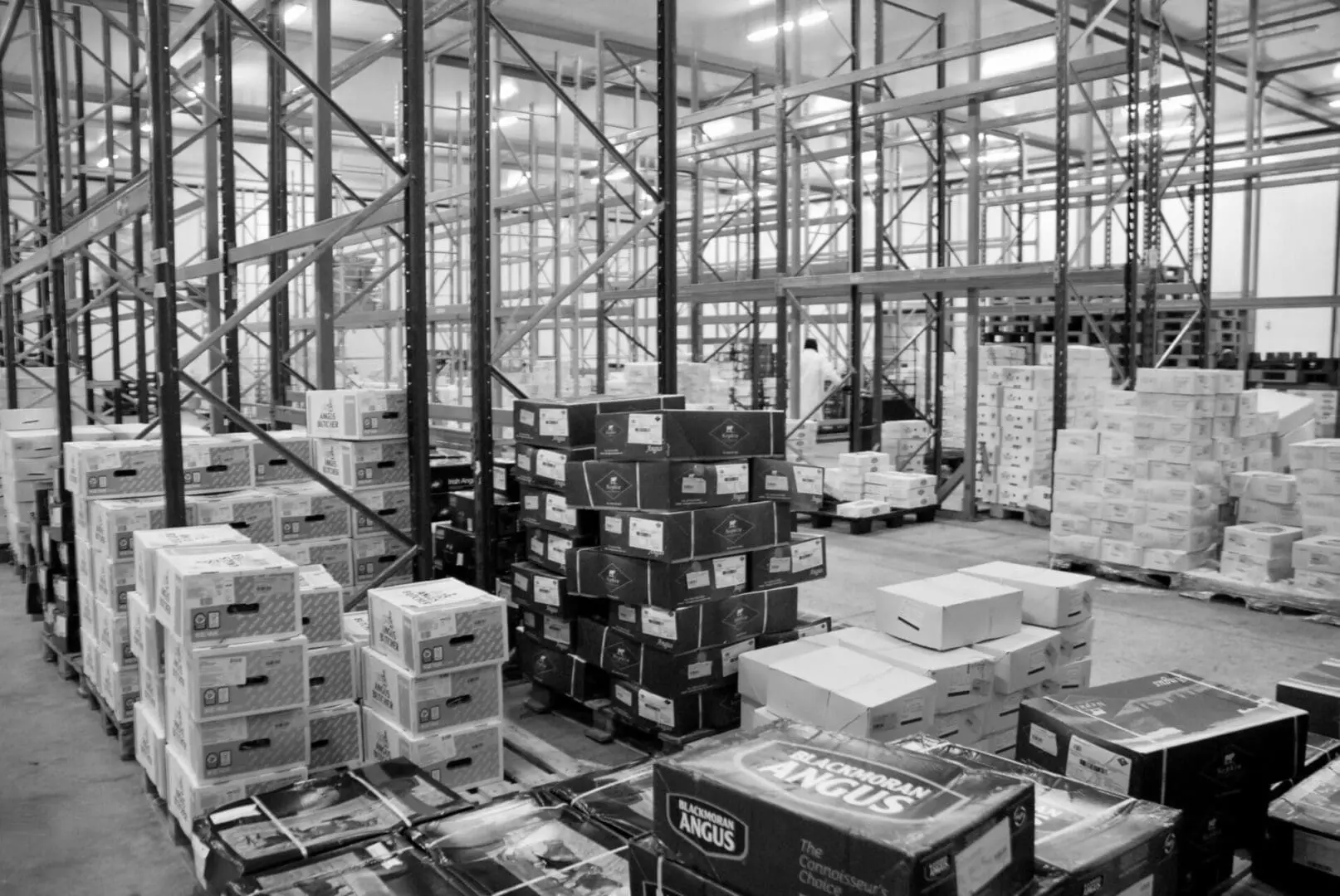 Importation de viande en France grossiste en produits carnés