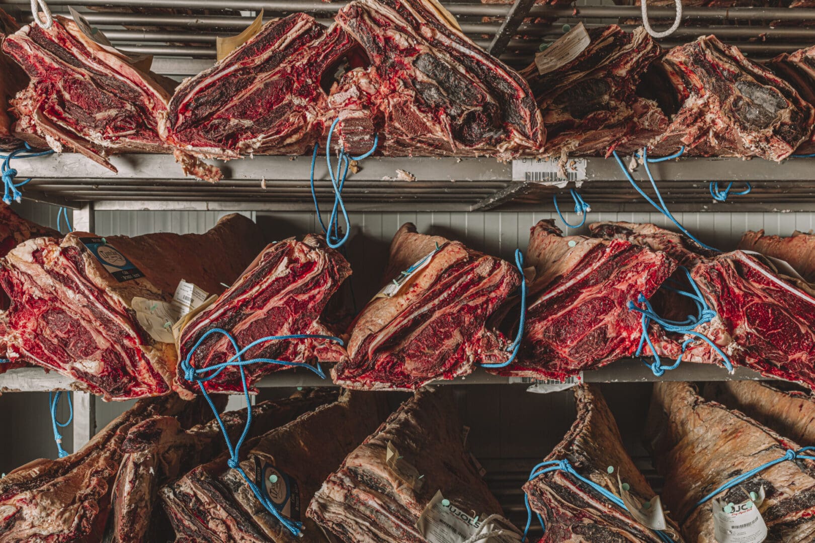Importation de viande en France grossiste en produits carnés
